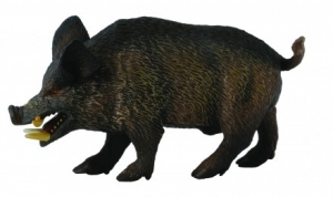 CollectA Wildschwein 88363 ca.9x3.5x4.5cm