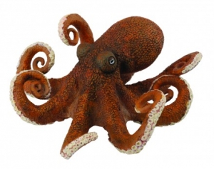 CollectA Tintenfisch 88485 ca.11x11x4cm