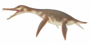 CollectA Dolichorhynchops 88520 ca.12.2x7.2x2.5cm