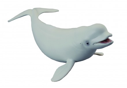 Buckelwal 21 cm Wassertiere Collecta 88347 