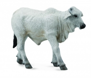 CollectA Brahman Kalb 88581 ca.7.2x2.5x5cm