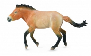 CollectA Przewalski Hengst 88602 ca.16x5x9cm