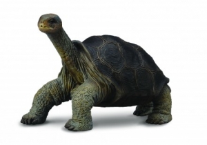 CollectA Galapagos-Riesenschildkr�te 88619 ca.6.5x4x5cm