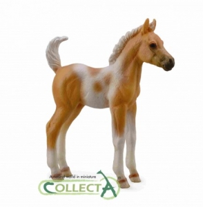 CollectA Pinto Fohlen stehend Palomino 88669