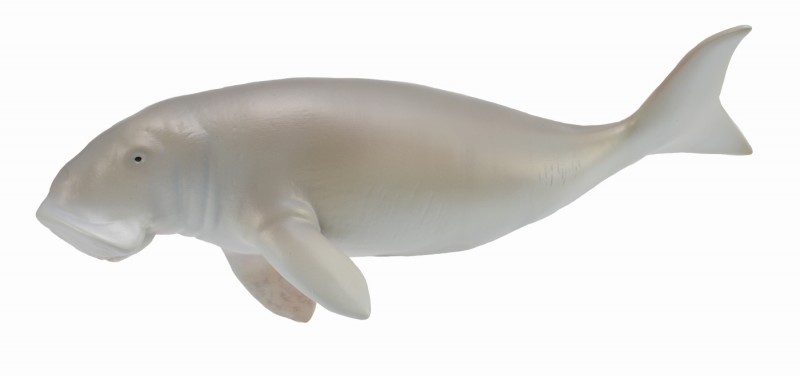 楽天市場】【中古】(未使用・未開封品) CollectA 88766 - Dugong