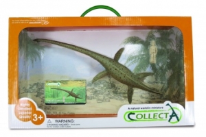 CollectA THALASSOMEDON in Fensterverpackung 89883