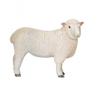 Mojo Romney-Schaf \(Mutterschaf\) 381064