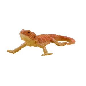 Mojo Wildlife Bartagame