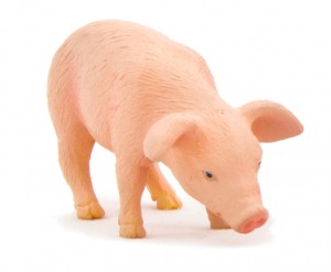 Animal Planet Ferkel fressend 387056