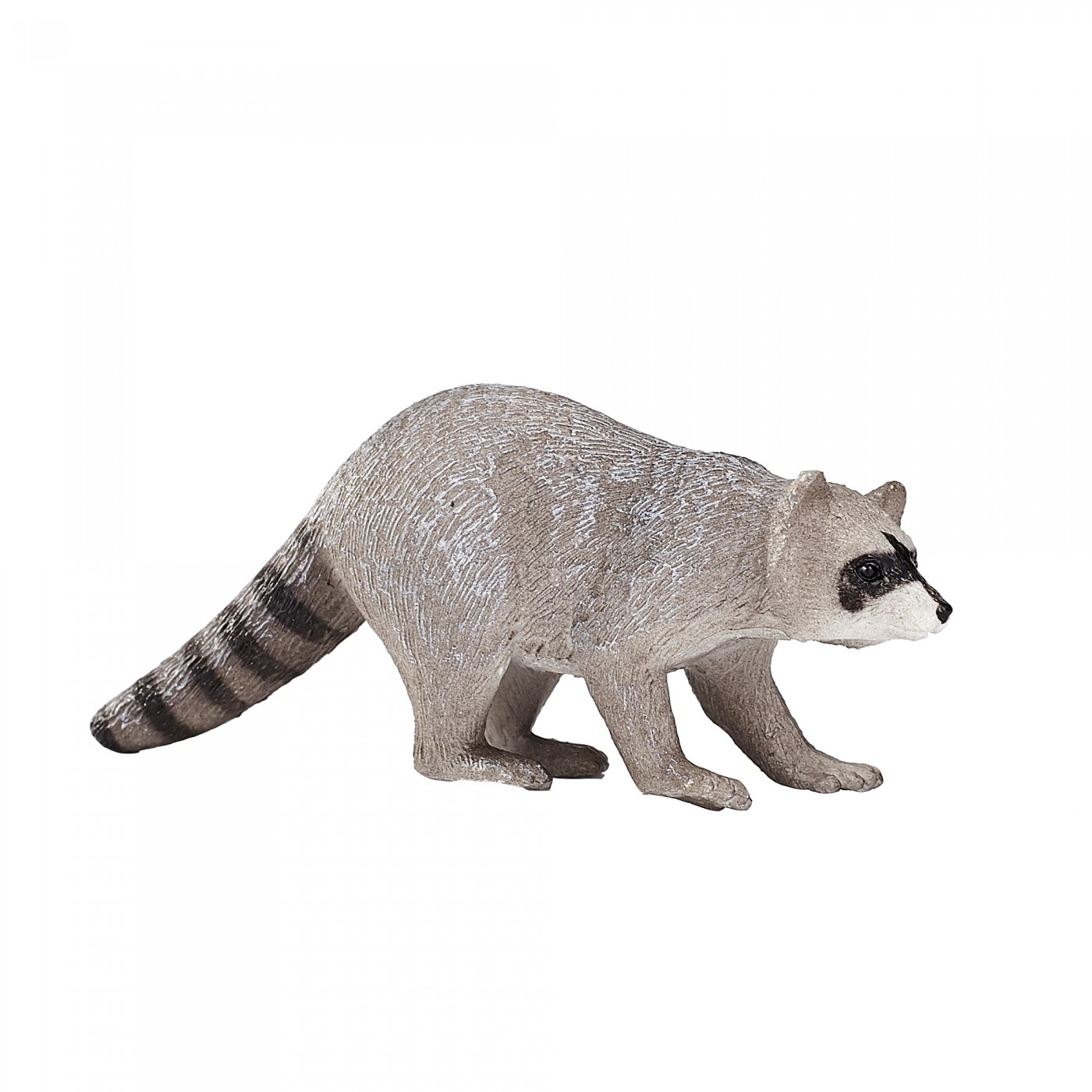 raccoon Animal Planet Raccoon 387159
