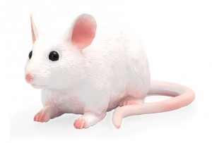 Animal Planet Maus 387235