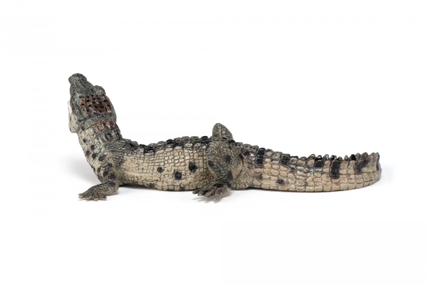 Papo 50137 Young crocodile animal figures at
