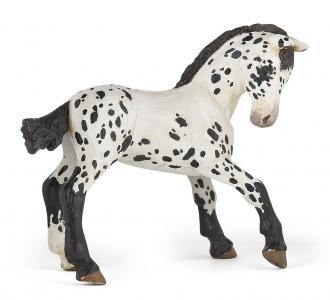 Papo Appaloosa Fohlen schwarz 51540 ca.9.7x7.7cm