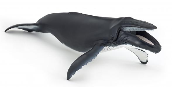 Papo Buckelwal 56001 ca.29x12.8cm