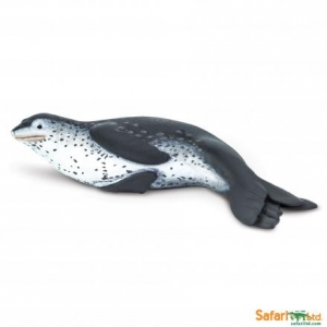 Safari Seeleopard 100129