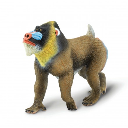Mandrill ‎– 2枚 Mandrill Life-size Cardboard Cutout #5232 – ThisisHollywood