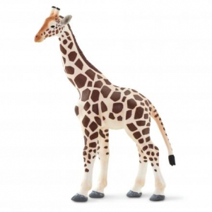 Safari Giraffe 100421