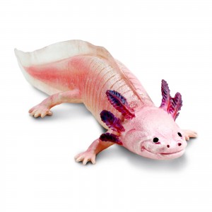 Safari Axolotl 104650