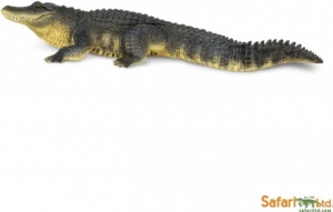 Safari Alligator 113389