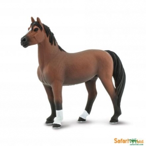 Safari Morgan Hengst 153105