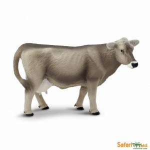 Safari Brown-Swiss Kuh 161529