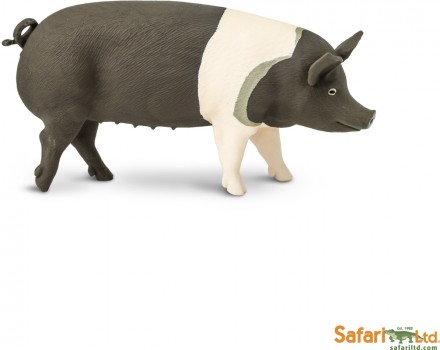 Safari Auf dem Bauernhof: Safari Hampshire-Schwein 161829