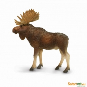 Safari Elchbulle 1810 10.75x11.5cm
