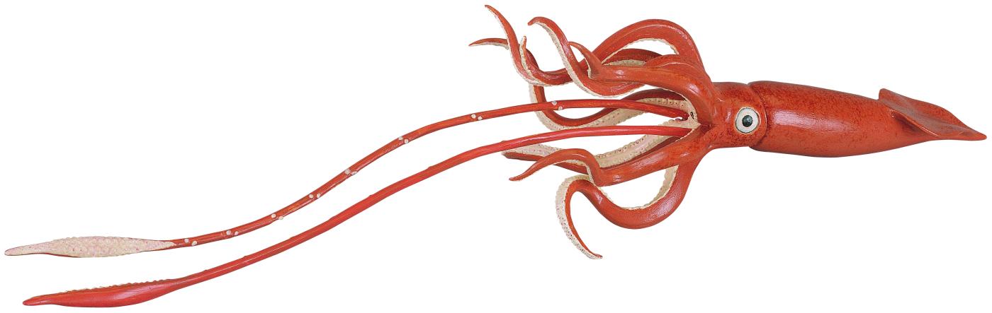 tintenfisch spiele tintenfisch spiele