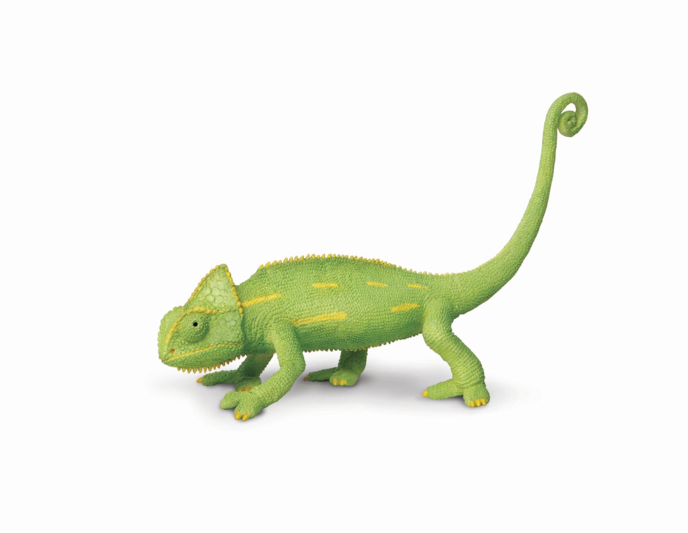 洋楽 Delired Cameleon Family Delired Cameleon Family | Delired