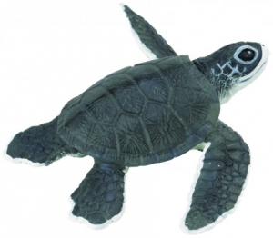 Safari Ltd Meeresschildkr�tenbaby 2681 ca.12.7x16x4.6cm
