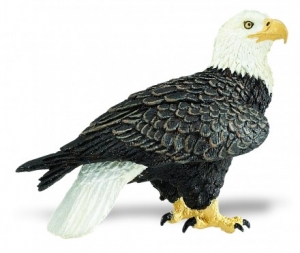 Safari Ltd Wei�kopfseeadler 2911 ca.67x4x5.7cm