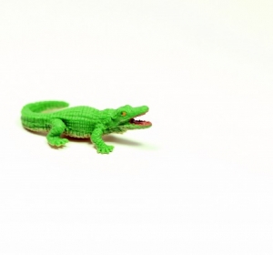 Safari Krokodil 3411e