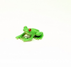 Safari Frosch 3412e