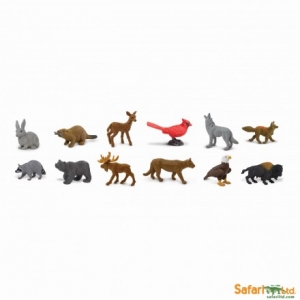Safari Themengebiet In der Natur 685804